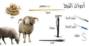 جسم كروى مخادع تجمد سكين الاضحيه png comertinsaat com