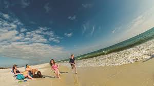 Check spelling or type a new query. Dauphin Island Park Beach Board Dauphin Island Al 36528