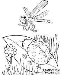 Cute dragonfly character coloring pages. Ladybird Dragonfly Coloring Page For Kindergarten