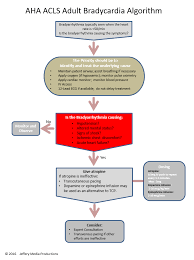 Bradycardia Algorithm Review Acls Algorithms Com