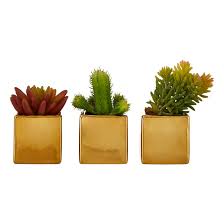 A cactus is just an office plant but deadlier. Set Of 3 Mini Succulents In Gold Ceramic Pots Gold Coloured So Home La Redoute