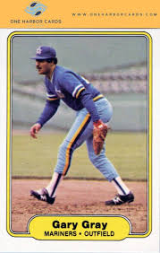 Image result for Polar Grey 1982 Fleet