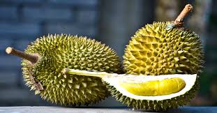 Lot 33, 34, jalan sri ehsan 1, taman sri ehsan, kepong, 52100 kuala lumpur, malaysia. Malaysia Durian Market Update
