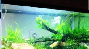 Bila anda ada di rumah dengan banyak aquarium (hobiis, penyedia jasa aquascape, atau buka toko), penggunaan ac bisa. Toko Aquascape Jakarta Toko Aquascape Jakarta