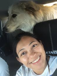 Dog's sudden death at Kwinana dog beach