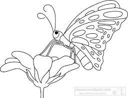 Black And White Clipart Images Of Butterflies Image Result For Butterfly On Flower Clipart Black And White Animal Outline Flower Outline Clip Art Pictures