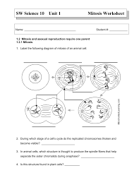 Maybe you would like to learn more about one of these? Mitosis Worksheet