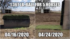 Diy round hay bale feeders diy round hay bale feeders for most of us, or maybe just some of us depending on your stable situation, colder weather means less grass and time to put out large round bales. Diy Slow Feed Hay Feeders Home Facebook