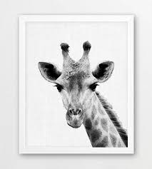 Black And White Safari Animal Prints Safari Animals Print Animals Print Set Of 4 Lion Giraffe Elephant Leopard Black White Photo N Safari Animal Prints Kids Room Art Decor Printable Art Prints