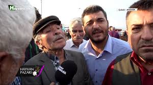 Bereket Tv Hayvan Pazari Simental Inek Fiyati Ankara 2018 Youtube