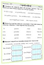 Avec cette leçon sur les adjectifs à destination des élèves en cm1 et cm2, apprenez à former le pluriel des adjectifs.nous traitons dans un premier temps de la règle générale puis nous présentons l'intégralité des cas particuliers (notamment en ce qui concerne les adjectifs de couleur et les adjectifs numéraux). L Adjectif Qualificatif Lutin Bazar