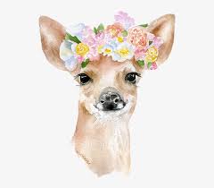 Check spelling or type a new query. Watercolor Watercolour Animals Animal Flowercrown Flowe Flower Crown Watercolor Free Transparent Png Download Pngkey