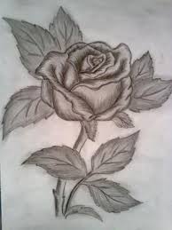 Pin By Karen Beauvais On Art Roses Drawing Flower Drawing Flower Sketches