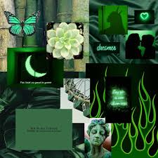 You can also upload and share your favorite green aesthetic desktop wallpapers. Green Aesthetic Dark Green Aesthetic Green Aesthetic Wallpaper Green Aesthetic Wallpaper Baddie