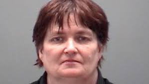 Eaton County woman sentenced for mother's death