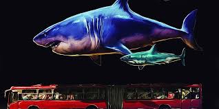 7 real megalodon sightings caught on camera youtube. Haie Hatten Zwei Moglichkeiten Riesig Zu Werden Natur Derstandard De Wissen Und Gesellschaft