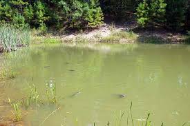 Beavers bend cabins are a perfect vacation getaway in the hochatown community north of broken bow, oklahoma close to beavers bend and broken bow lake. Spokane Fishing Pond Picture Of Beavers Bend Log Cabins Broken Bow Tripadvisor