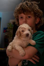 Anyone else's dog fake sleep when it's bath time? 🤣🤣🤣🙄🙄🙄 🛁