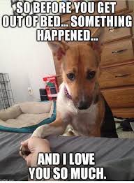 24 Funny Animals With Captions Lol Diybuddy Funny Animals With Captions Funny Dog Pictures Funny Animals