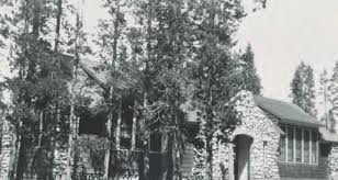 A Place with Its Bark Still On