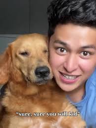 Fly high Lalabs ❤️ #goldenretriever #lalabs #fypシ゚ #AljonMendoza  @aljongmendoza #dogsoftiktok #dog