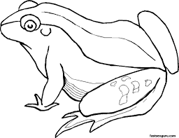 Big Coloring Pages Of Animals Big Frog Printable Coloring Pages Printable Coloring Pages For K Frog Coloring Pages Animal Coloring Pages Coloring Pages
