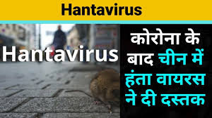 Hemorrhagic fever with renal syndrome (hfrs). Hantavirus All Information About Hanta Virus How Hanta Virus Effect People Youtube
