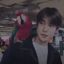 Rowan Cameron (31rowanc)