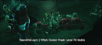 Are you looking for diablo 3 pets and their locations then you are in the right place. D3 Witch Doctor Fresh Level 70 Guide Season 22 2 6 10 Team Brg Page 5