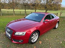 Image result for Garnet Red 2010 A5