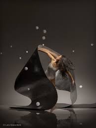 Resultado de imagen para lois greenfield