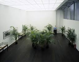 Marcel Broodthaers Un Jardin D Hiver 1974 Installation Design Installation Art Sculpture Installation