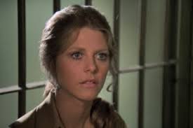 Lindsey Wagoner Bionic Woman