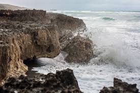 Maybe you would like to learn more about one of these? Beach It Blowing Rocks Preserve Naples Illustrated