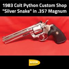 Image result for Silver 1983 Colt