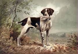 After pal, 10 generations of his descendants filled in for the role. Dogs Names The Most Popular Of The Pack 1875 Click Americana