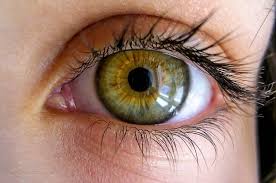 33 Of The Most Beautiful Pairs Of Eyes To Grace Our Facebook Wall Beautiful Eyes Color Eye Art Aesthetic Eyes