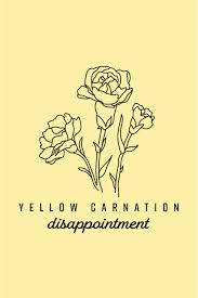 Yellow Carnation Flower Language Of Flowers Yellow Carnation Meaning Flower Meanings Yellow Carnations Language Of Flowers Carnation Flower