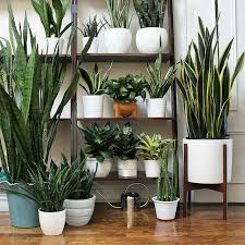 Pin On Entrance Ideas
