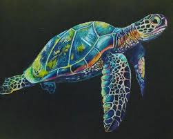 We did not find results for: Coloured Pencil Turtle On Black Paper I Made This As A Drawing Tutorial For My School Pupils Drawing
