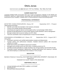 Basic Resume Sample Format Resume Format