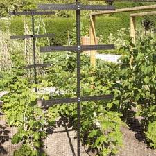 We make heavy duty solid steel plant supports and plant stakes. Steel Plant Support Cable Harrod Horticultural