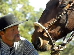 Pen in Hand: Oak Creek Wild Horses star in the horse event of the year