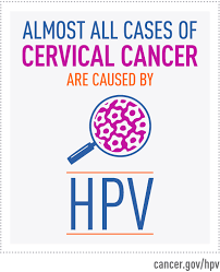 The human papilloma virus (hpv) is a major cause of the main types of cervical cancer. Hpv Awareness Day National Cancer Institute