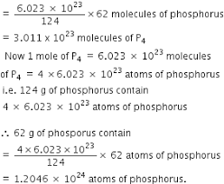 1 mole of s atoms = 6.022 × 10 23 s atoms; How Many Atoms And Molecules Of Phosphorus Are Present In 62 G Of Phosphorus P4 From Chemistry Some Basic Concepts Of Chemistry Class 11 Haryana Board English Medium