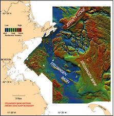 mapping the sea floor stellwagen bank usgs