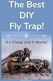 Harris home insect killer, liquid gallon spray. 60 Best Pest Control Diy Ideas Pest Control Pests Insect Control