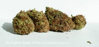 Candy apple the candy apple cannabis strain consists of 75% sativa and 25% indica, made from crossing three infamous strains: Bc Organic Apple Toffee By Simply Bare Rubicon Puffthemagic