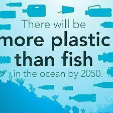 Ditch Single Use Plastic For Our Planet Repost Ecomasteryproject Photo Save Planetearth Sustainability Sustainable Climatechange Non Renewable Energy Renewable Sources Of Energy Renewable Energy Companies