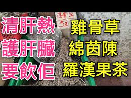 職人吹水 清肝熱護肝雞骨草綿茵陳羅漢果茶 youtube 羅漢果 羅漢 職人